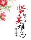 重生之贤妻难为久久