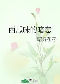 西瓜味甜品