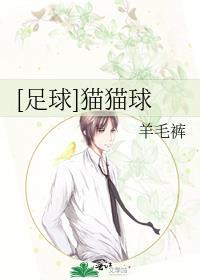 足球猫猫球by羊毛裤TXT