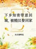 知青下乡年代