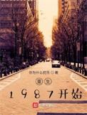 重生1987开始主角叶怀安