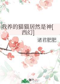 我养猫咪