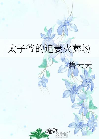 太子追妻火葬纪事