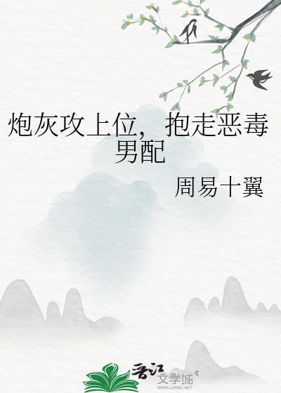 炮灰攻上位抱走恶毒男配周易十翼