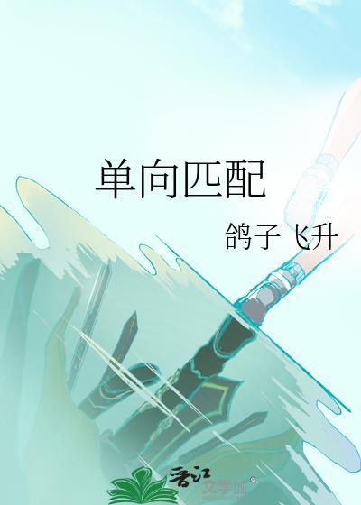 单向匹配 鸽子飞升 笔趣阁