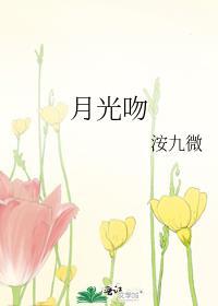 月光吻过蔷薇窗