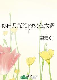 你白月光给的实在太多了by栾云夏