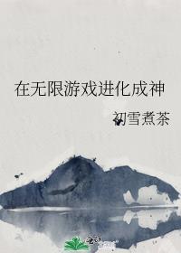 无限进化成神系统