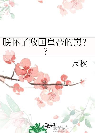 朕怀了孩子