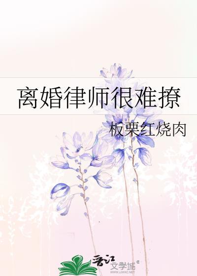 离婚律师咨询