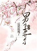 男主妻子死了
