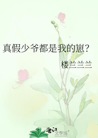 真假少爷的