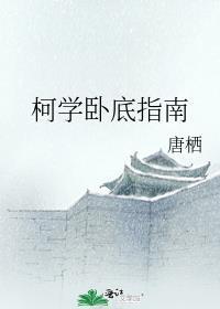 柯学卧底指南 唐栖 txt