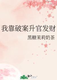 我靠破案升官发财免费阅读