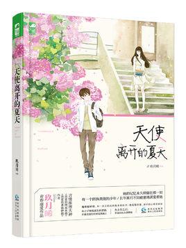 天使离开的19岁第二部