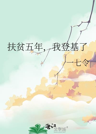 扶贫五年总结