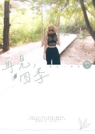 再见四季电视剧免费观看全集