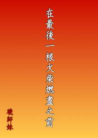最后一根火柴文章