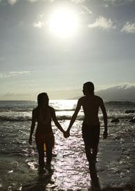 看悠闲游荡的鲸鱼是什么意思