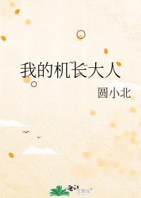 我的机长电影在线观看