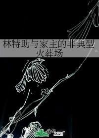 林特f1