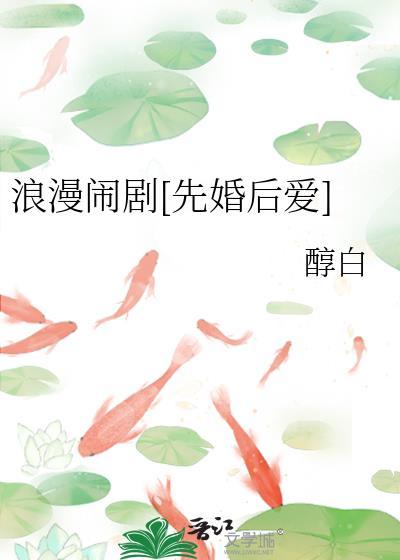 浪漫爱情喜剧电视剧