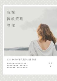 在我流浪他乡的这些年歌词