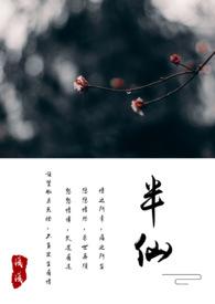 半仙修农机