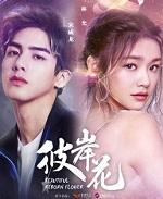 彼岸花by小花喵免费阅读