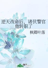 诸伏警官他转职了已完结