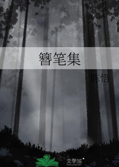簪笔集讲的什么