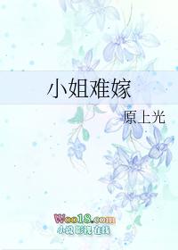 小姐难嫁gl
