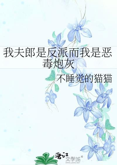 我夫郎是反派而我是恶毒炮灰by不睡资源