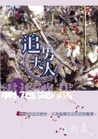 霸道总裁追妻实录