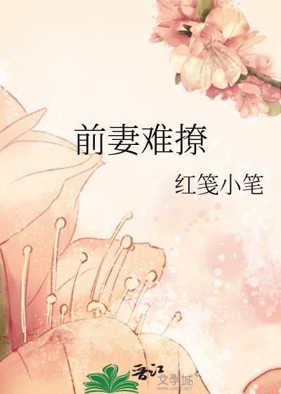 前妻难追免费阅读