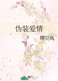 伪装爱情by晴空岚TXT