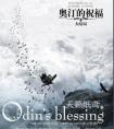 奥汀的祝福晋江
