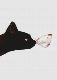 人间好时节林依轮