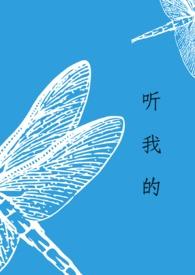 听我的听我的