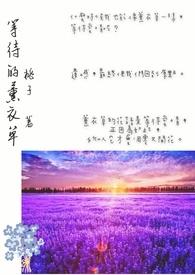 电视剧薰衣草的歌