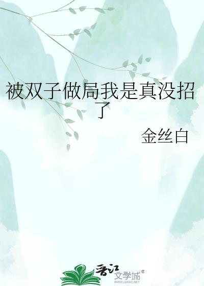 当双子座被打劫