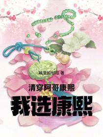 我选康熙