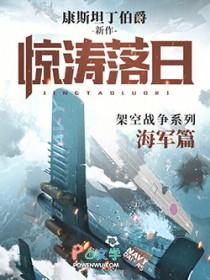 惊涛落日原著