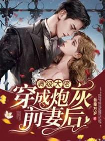 满级大佬穿成了炮灰