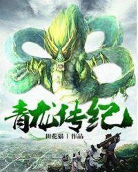 播放电视连续剧青龙