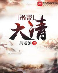 祸害大清TXT