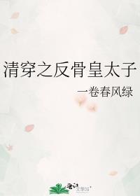 清穿之反骨皇太子是什么类型的