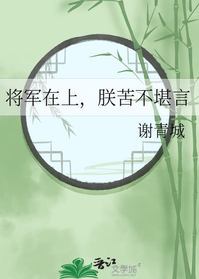 将军在上的皇上