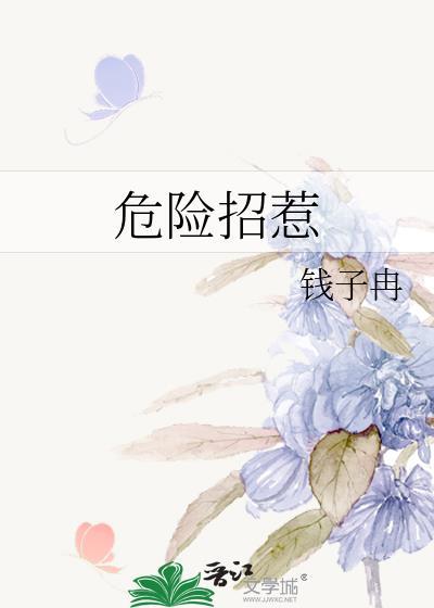 危险招惹TXT番外