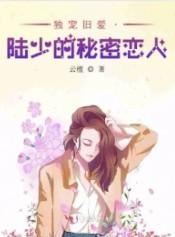 独宠旧爱 陆少的秘密恋人?
